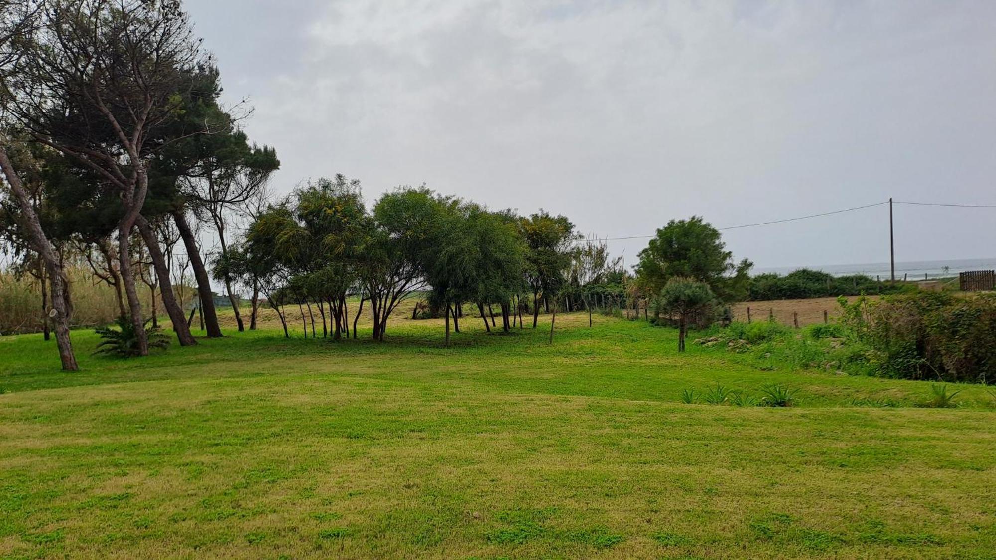 Villa Agapanto Paestum Ngoại thất bức ảnh